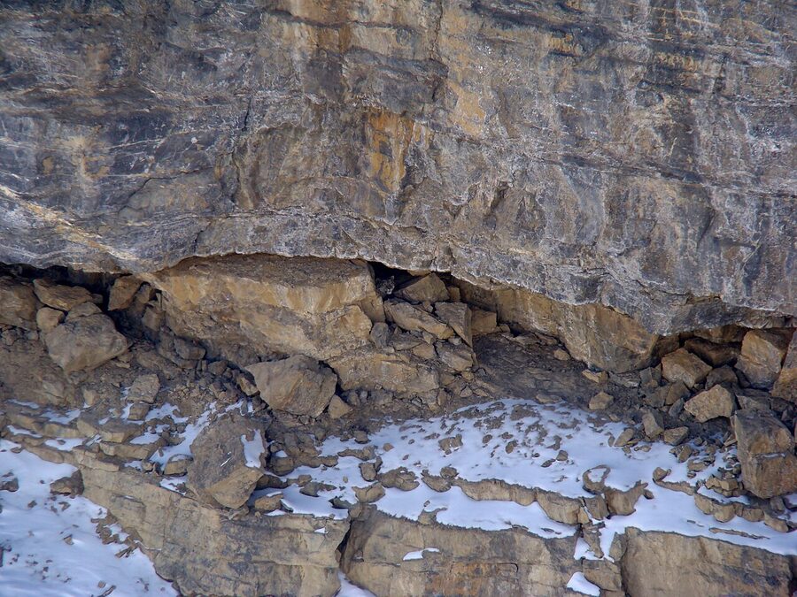 A snow leopard photographed in a cave in Spiti Valley, Himachal Pradesh.